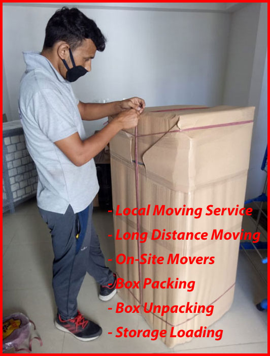 Packers And Movers Noida Sector 66